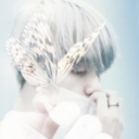 cursedtragedy avatar