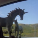 curseofthedawn avatar