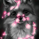 cursesandglitter avatar