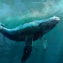 curtailedwhale avatar