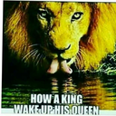 curvekinghunter avatar