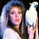 cushnip-sings avatar