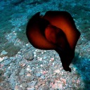 customkitchendelivery avatar