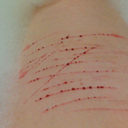 cut-away-your-life avatar