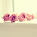 cute-crush-imagines avatar