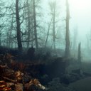 cute-intergalactic-spider avatar