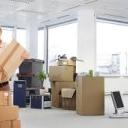 cute-world-48 avatar