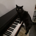 cuteasatinycupcake avatar