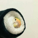 cutebabybird-blog avatar