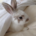 cutebutpsychoaf avatar