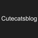 cutecatsblog avatar