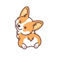 cutecorgibutt avatar
