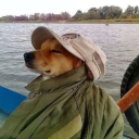 cutefireflysblog avatar