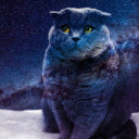 cutegalaxycat avatar