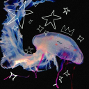 cutejellyfishy avatar