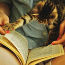 cutekittensandbooks avatar