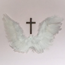cutelittlelumbwithangelwings2 avatar