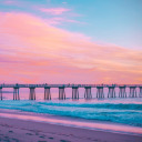 cutelittlemuffin avatar