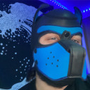 cutepupkino avatar