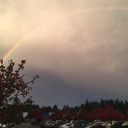 cutequeerpositivity avatar