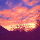 cutequotesandcrap avatar