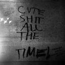 cuteshitallthetime-blog avatar