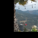 cuteshortvirginwhore avatar