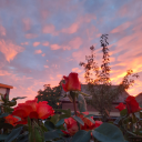 cutestbabyvillain avatar