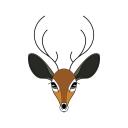 cutestlittledoe avatar