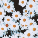 cutesweetie45 avatar