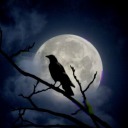 cutesylittledemon avatar