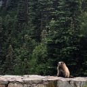 cutie-with-a-booty18 avatar