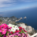 cutiepants80-blog avatar