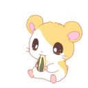 cutiepies-world avatar