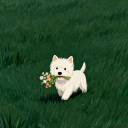 cutiie-corner avatar