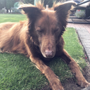 cutofthethroat avatar