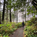 cuts-and-butts avatar