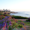 cuttingbackwithbeck avatar