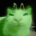 cuttlefish-strategy avatar