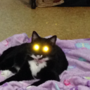 cuttlemonster avatar