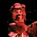 cuuntybearjamboree avatar
