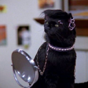 cvctuslesbian avatar