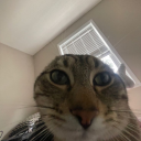 cvet0kkomnomnom avatar