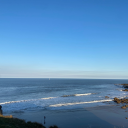 cvthartic-origin avatar