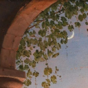 cwispyegg9693 avatar