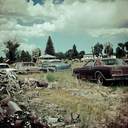 cyanide-hysteria avatar