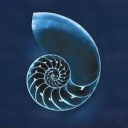 cyanotype-ammonite avatar