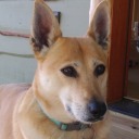 cyansoulspatience avatar