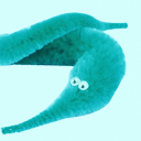 cyanwormonastring avatar