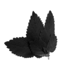 cyberamic avatar